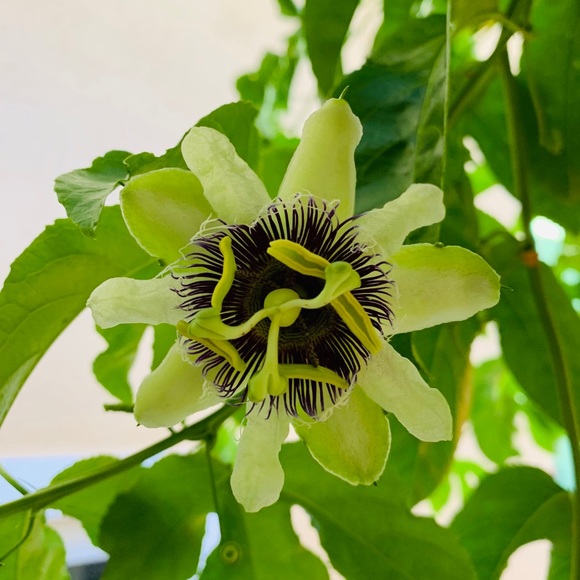 I will accept all reasonable offer - Picture 4 of 4